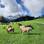 Κατάλυμα σε φάρμα Nockhof
