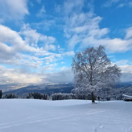 Фермерский дом Nockhof Инсбрук