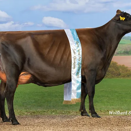 Nockhof Vakantieboerderij Innsbruck