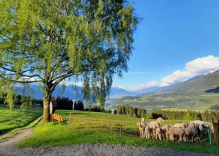 Farm stay Nockhof Innsbruck