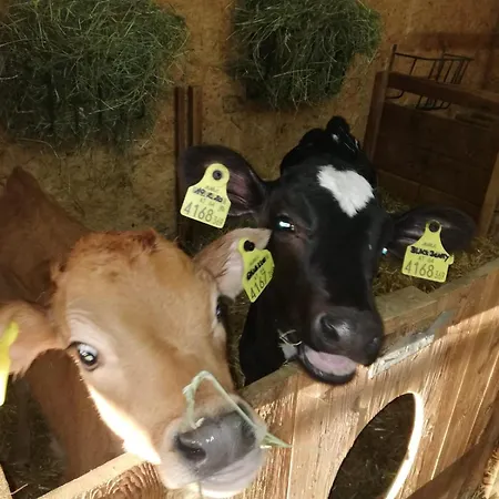 Farm stay Nockhof *