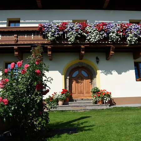 Nockhof *